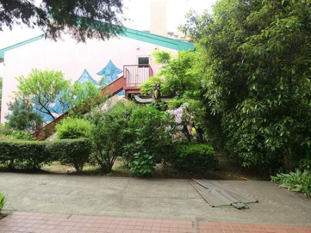 ӊ@ctEۈ牀 800m vXN[tct