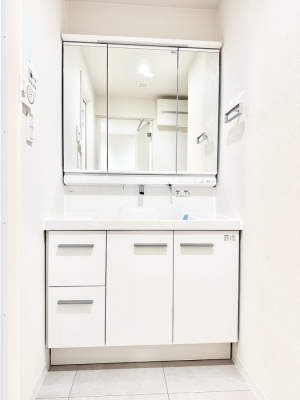 ���ʑ�E���ʏ��@�������������Ő������̂�����ʏ�