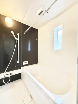 �����@�����������������F�����̕ǖʁA������芰����o�X���[��