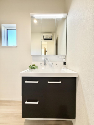 ���ʑ�E���ʏ��@���������̏������X���[�Y�ɂł���L���ł�