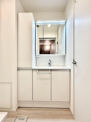 ���ʑ�E���ʏ��@���������̏������X���[�Y�ɂł���L���ł�