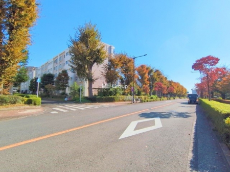 nOώʐ^@OρV̑ASn悢