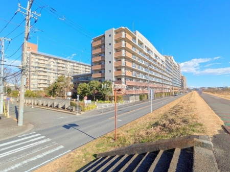 nOώʐ^@OρV̑ASn悢