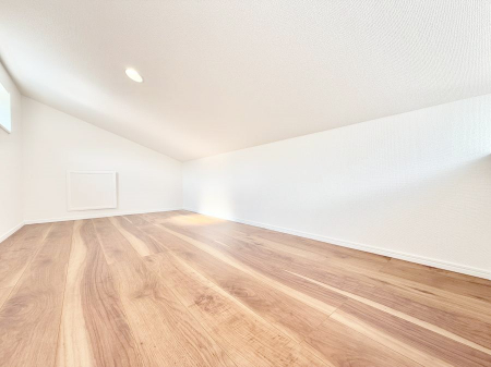 ���̑��@������+���̃X�y�[�X�I���t�g�t���I  