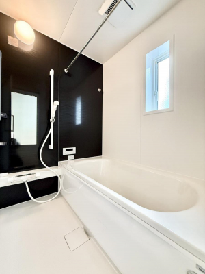 �����@�����������������F�����̕ǖʁA������芰����o�X���[��