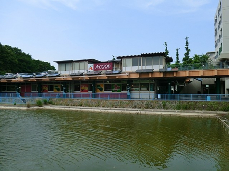 ӊ@X[p[ 600m AR[vΒ|RX