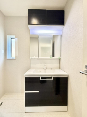 ���ʑ�E���ʏ��@���������̏������X���[�Y�ɂł���L���ł�