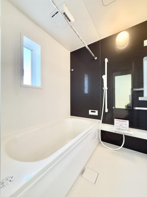 �����@�����������������F�����̕ǖʁA������芰����o�X���[��