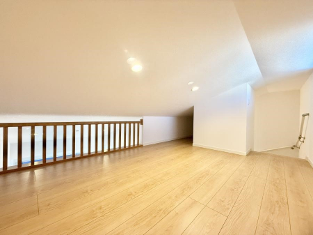 ���̑��@������+���̃X�y�[�X�I���t�g�t���I  