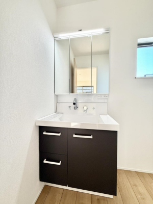 ���ʑ�E���ʏ��@���������̏������X���[�Y�ɂł���L���ł�