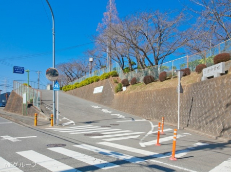 ���ӊ��@���w�Z 800m �ɐ����s���������w�Z