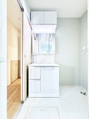 ���ʑ�E���ʏ��@�������������Ő������̂�����ʏ�