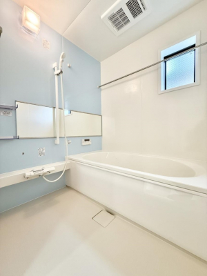 �����@�����������������F�����̕ǖʁA������芰����o�X���[��