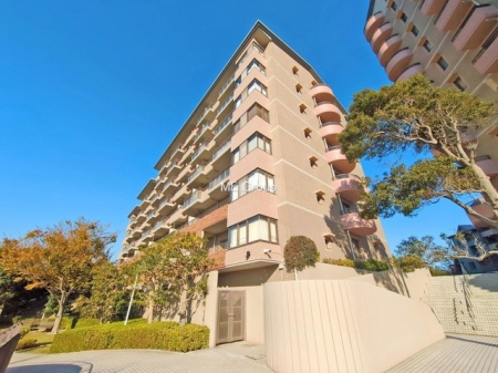 nOώʐ^@OρƑ݂ȂΊŉ߂AŜZ܂