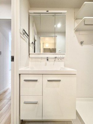 ���ʑ�E���ʏ��@���������̏������X���[�Y�ɂł���L���ł�