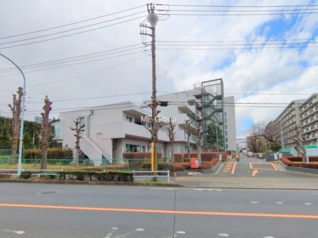 nOώʐ^@OρV炵n܂ꏊŁAƑJ[߂