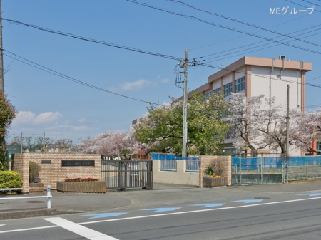 ӊ@wZ 620m qs茴wZ