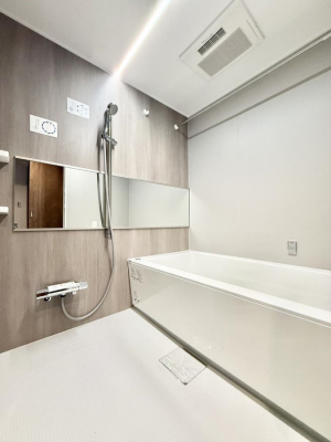 �����@�����������������F�����̕ǖʁA������芰����o�X���[��