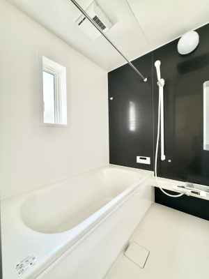 �����@����������̔�������A�S����������Ԃł�