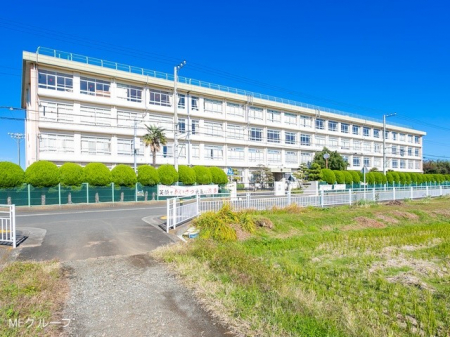 ӊ@wZ 1700m ˎsZwZ