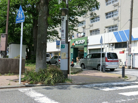 ӊ@X[p[ 300m AR[v X