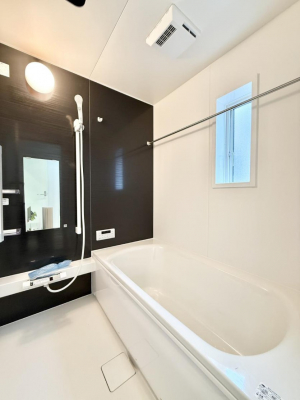 �����@�����������������F�����̕ǖʁA������芰����o�X���[��