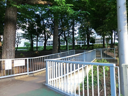 ӊ@wZ 960m ͌šwZ