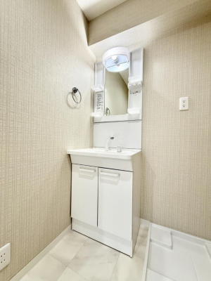 ���ʑ�E���ʏ��@���������̏������X���[�Y�ɂł���L���ł�