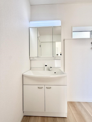 ���ʑ�E���ʏ��@���������̏������X���[�Y�ɂł���L���ł�