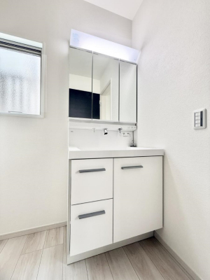 ���ʑ�E���ʏ��@���������̏������X���[�Y�ɂł���L���ł�