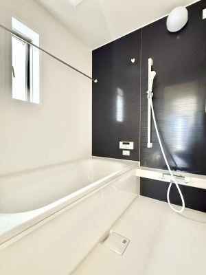 �����@�����������������F�����̕ǖʁA������芰����o�X���[��