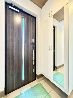 ���ց@������ ��������n�܂����A�������萮��������