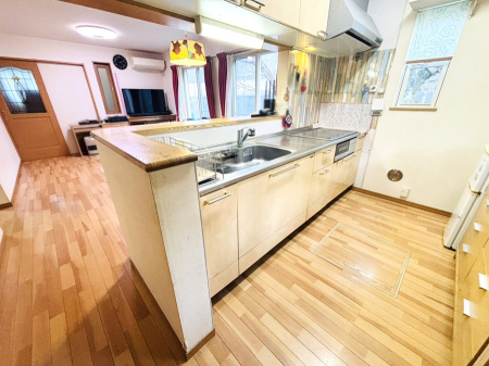 ���̑��@����