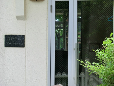 ���ӊ��@�c�t���E�ۈ牀 300m �Ђ���̎q�c�t��