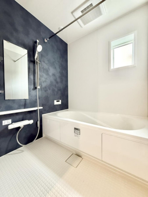 �����@�����������������F�����̕ǖʁA������芰����o�X���[��