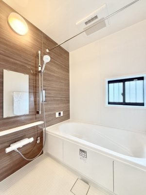 �����@�����������������F�����̕ǖʁA������芰����o�X���[��