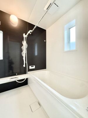 �����@�����������������F�����̕ǖʁA������芰����o�X���[��