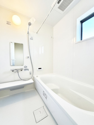 �����@�����������������F�����̕ǖʁA������芰����o�X���[��