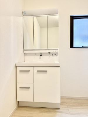 ���ʑ�E���ʏ��@���������̏������X���[�Y�ɂł���L���ł�