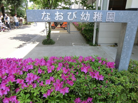 ���ӊ��@�c�t���E�ۈ牀 850m �Ȃ��їc�t��