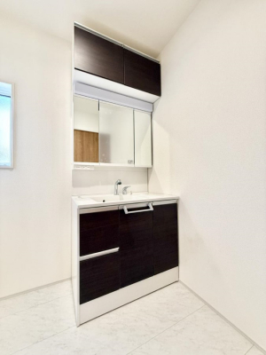 ���ʑ�E���ʏ��@���������̏������X���[�Y�ɂł���L���ł�