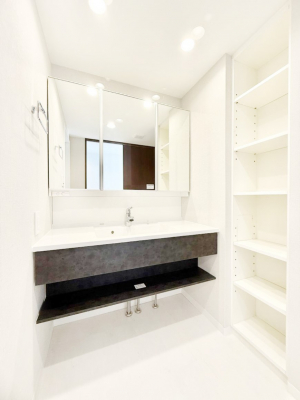 ���ʑ�E���ʏ��@���������̏������X���[�Y�ɂł���L���ł�