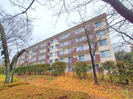 ���n�O�ώʐ^�@�O��