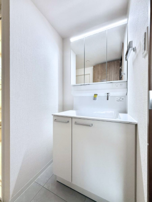 ���ʑ�E���ʏ��@���������̏������X���[�Y�ɂł���L���ł�