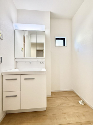 ���ʑ�E���ʏ��@���������̏������X���[�Y�ɂł���L���ł�