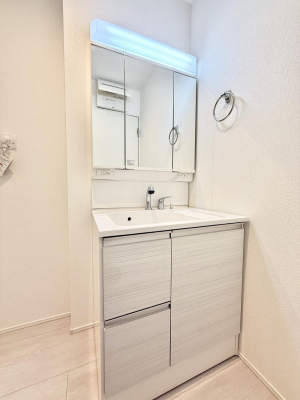 ���ʑ�E���ʏ��@���������̏������X���[�Y�ɂł���L���ł�