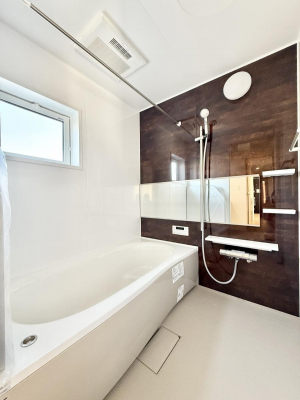 �����@�����������������F�����̕ǖʁA������芰����o�X���[��