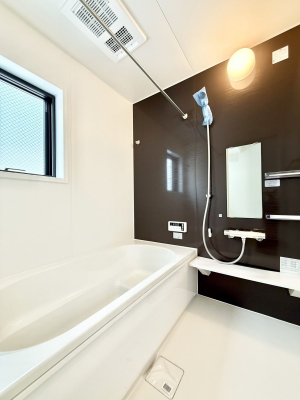 �����@�����������������F�����̕ǖʁA������芰����o�X���[��