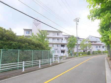 ���n�O�ώʐ^�@�O�ρ����̓�������΁A�������������ʂɂȂ�