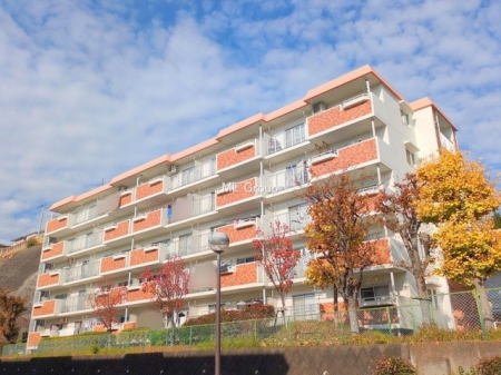 ���n�O�ώʐ^�@�O�ρ��V������炵���n�܂�ꏊ�ŁA�Ƒ����J��[�߂�